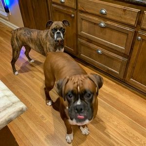 Meet your Posher, Tammy